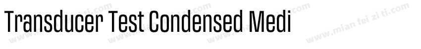 Transducer Test Condensed Medium字体转换
